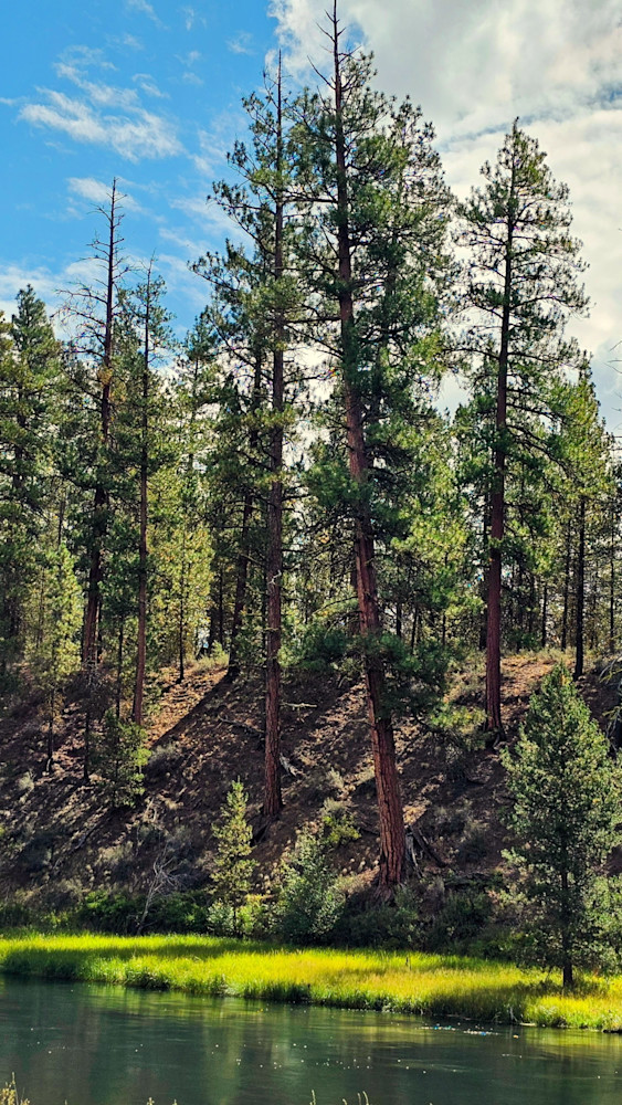 Deschutes River Bank Photography Art | InYourBackyard