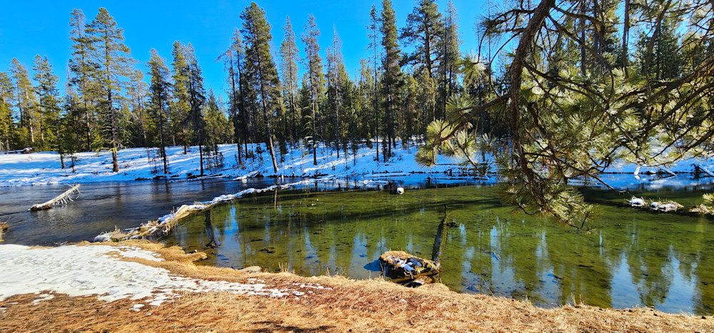 Fall River In The Deschutes National Forest Winter Photography Art | InYourBackyard