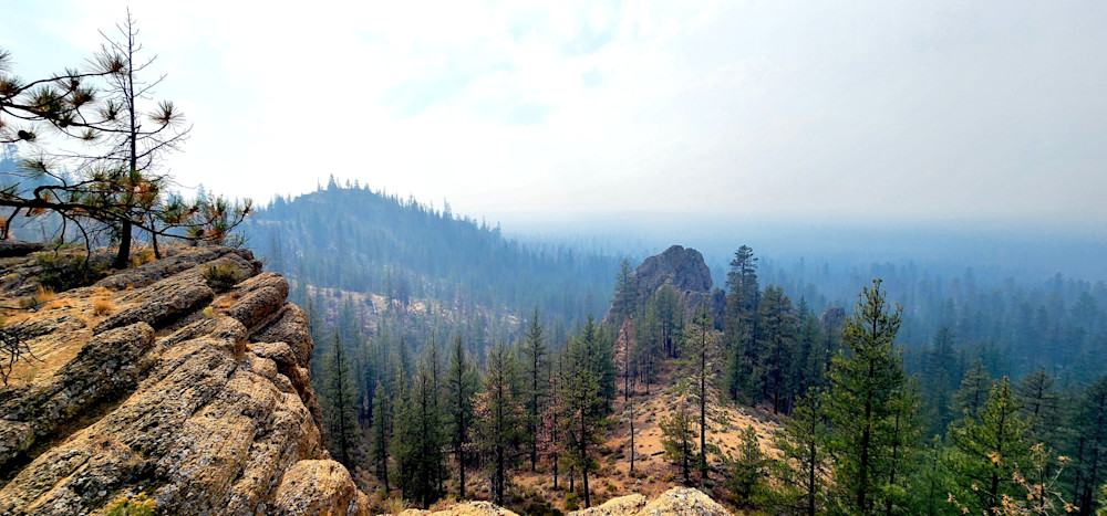 Landscape Of Central Oregon Forest Photography Art | InYourBackyard