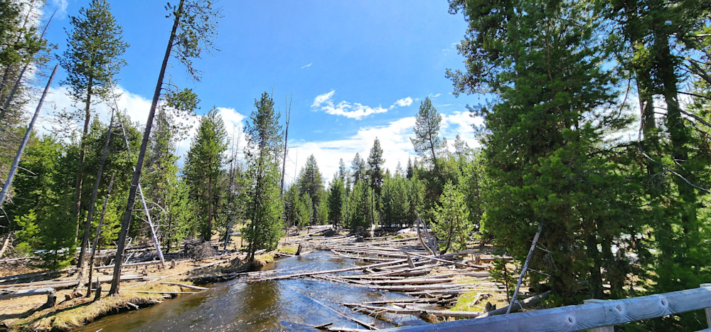 River Logs Deschutes River Photography Art | InYourBackyard
