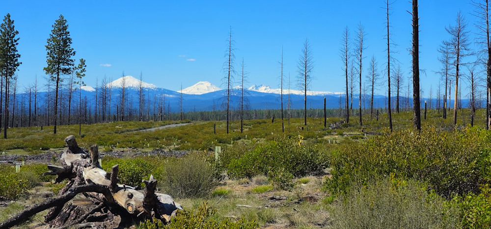 Mt Bachelor And Three Sisters Mountains Photography Art | InYourBackyard