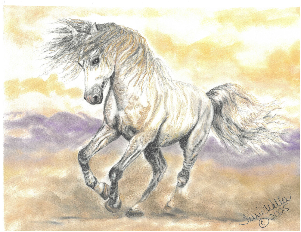 White Stallion Art | Fine Art by Terrie D