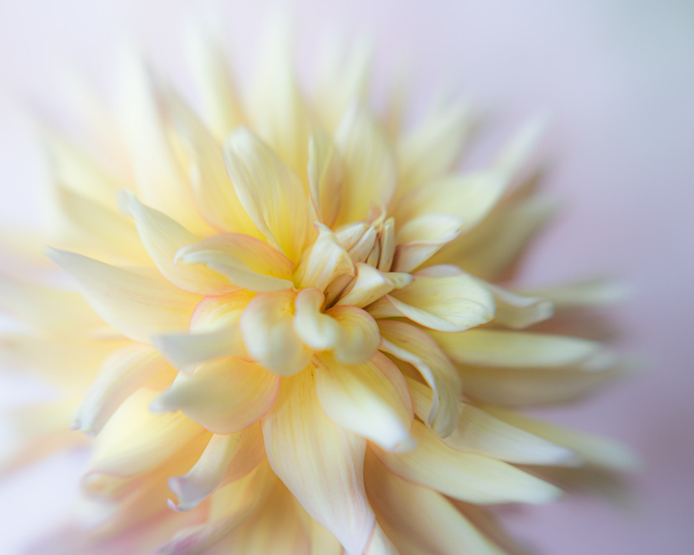 'winter White Wonderment' Photography Art | brubakerfineartphotography