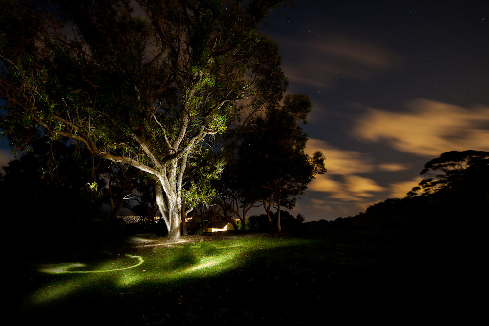 The Tree Of Life - light painting photography by Catalin Anastase