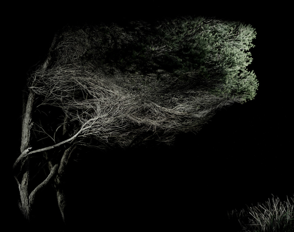 Fine Art Photography - photo by Catalin Anastase