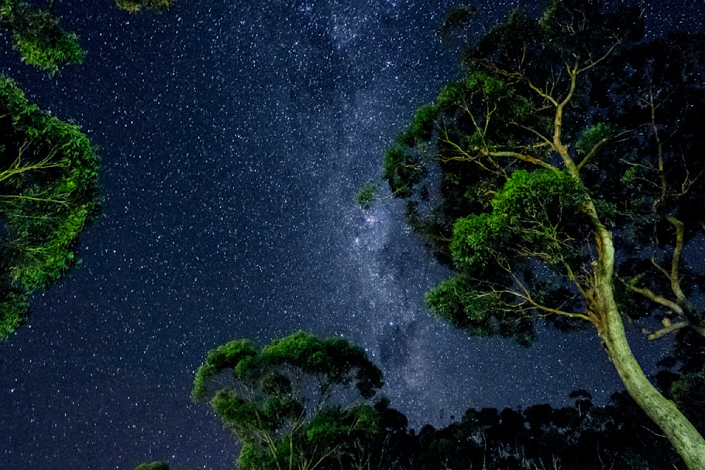 Summer Night Sky Photography Art | ANASTASE PHOTOGRAPHY