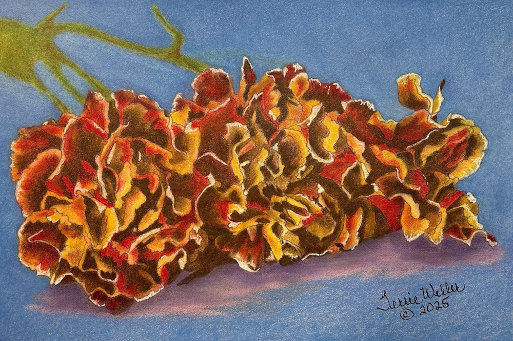 Three Carnations Art | Fine Art by Terrie D