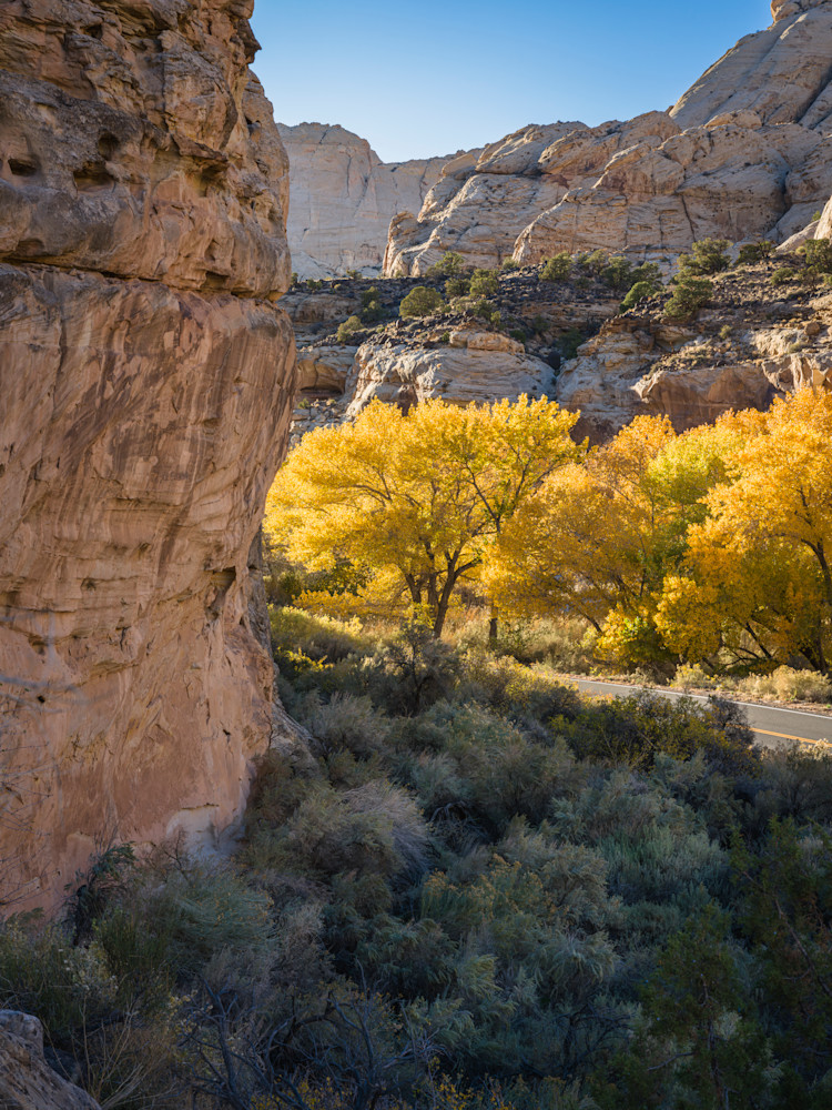 Capitol Reef Colors - Autumn Landscape Photography