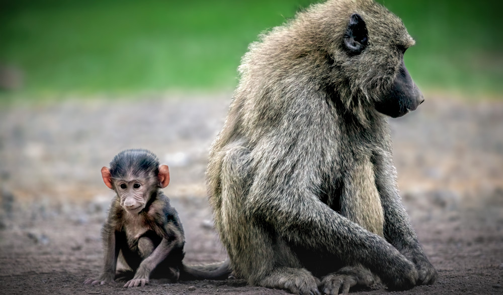 W AI Ting Beside Her Art | The Frame Gallery