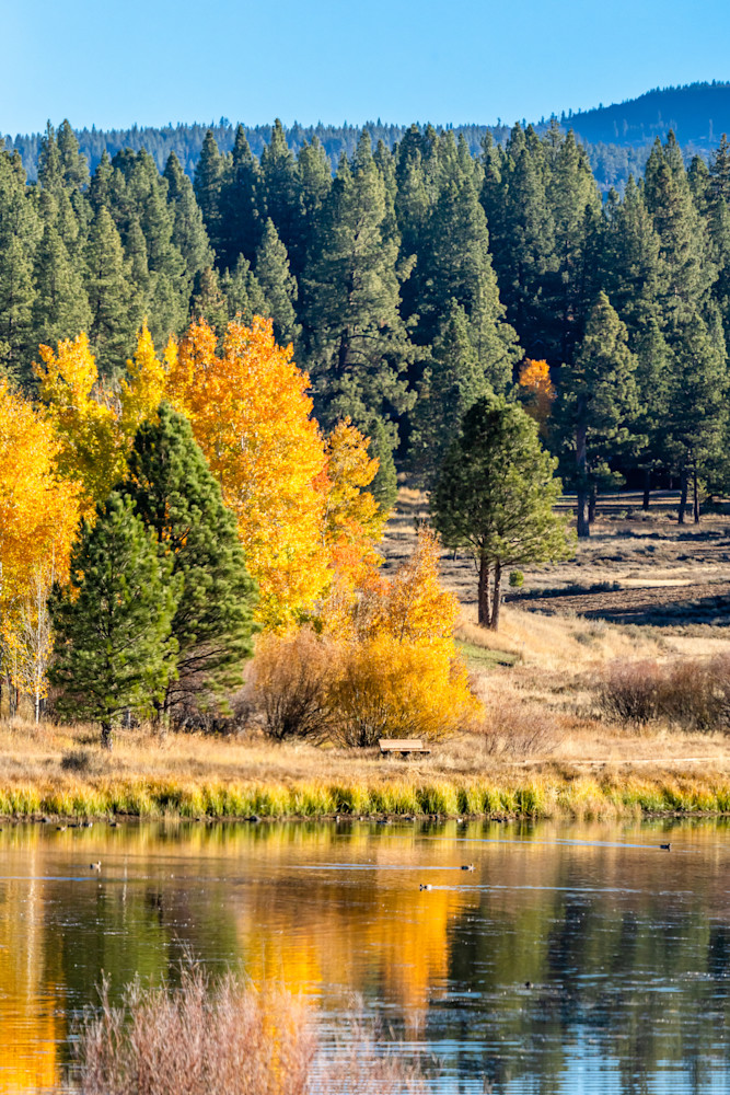 Glenshire Pond in Autumn 2