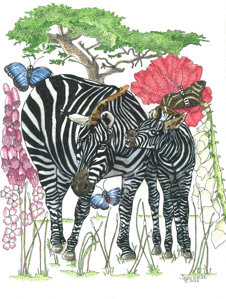 Mama And Baby Zebra Art | Fine Art by Terrie D