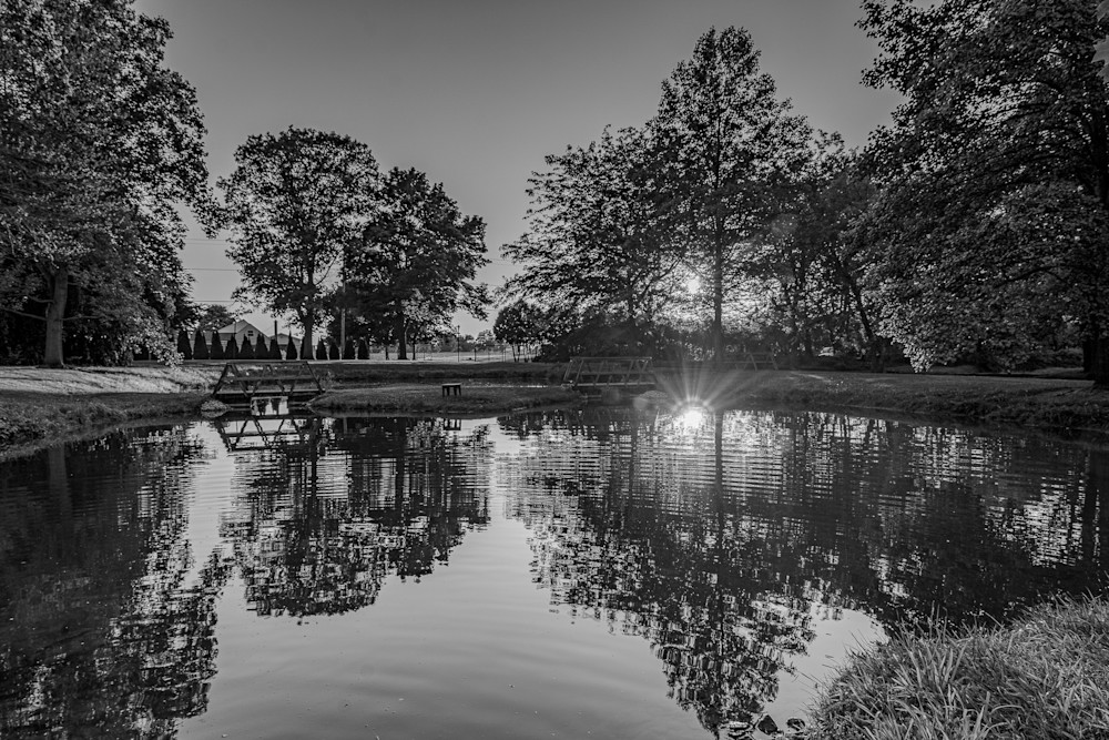Fire In The Pond   Monochrome Photography Art | Steve Rizzi Photography
