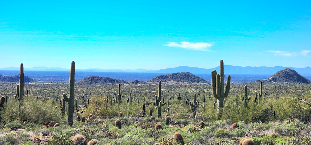 Arizona Desert Landscape Photography Art | InYourBackyard
