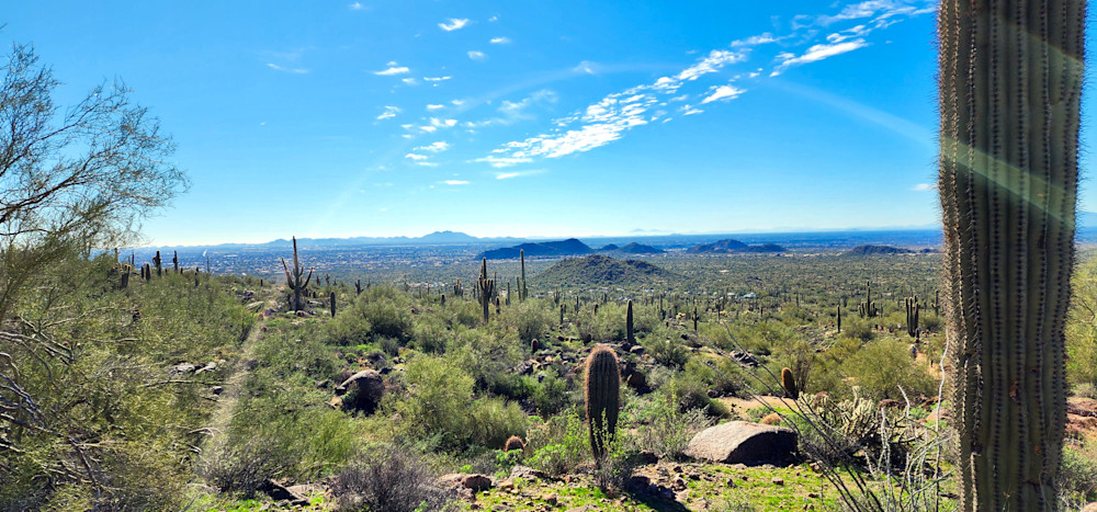 Desert Reflections In Arizona   Light Sphere Photography Art | InYourBackyard