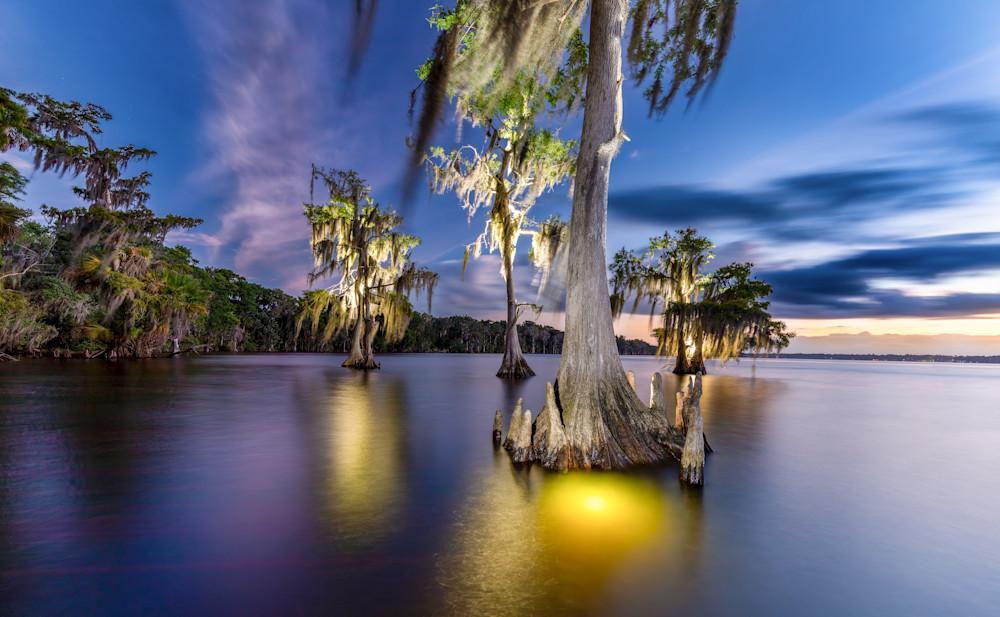 Four Cypress Art | Russell Satterthwaite inc.