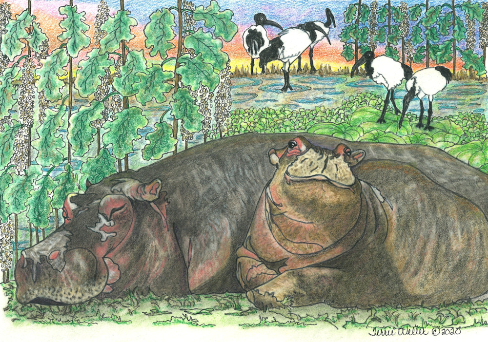 Mama And Baby Hippo Art | Fine Art by Terrie D