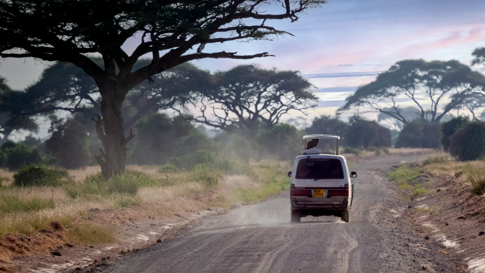 The Midday Move Art | The Frame Gallery