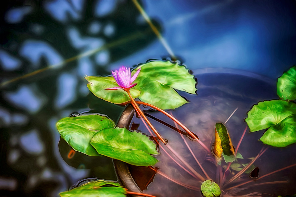 Luminescent Life (2009)