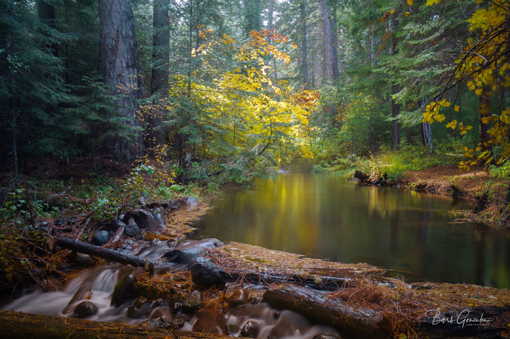Reflectingcreekautumn Photography Art | Barb Gonzalez Photography