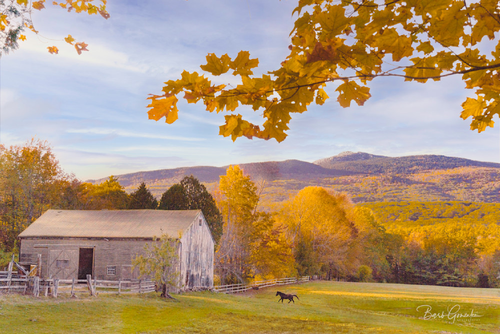 Goldenfarm Mountain Photography Art | Barb Gonzalez Photography