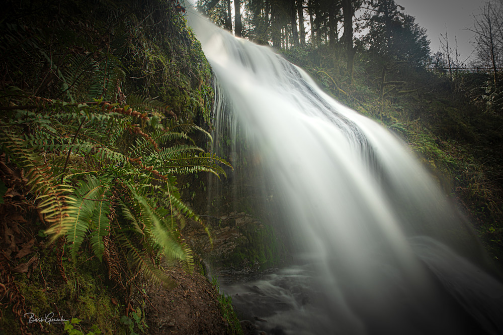 Mcdowellfalls Photography Art | Barb Gonzalez Photography