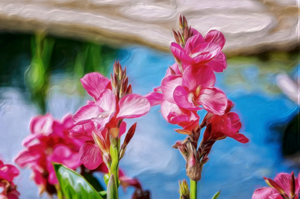 Pink Flags Waving (2011)