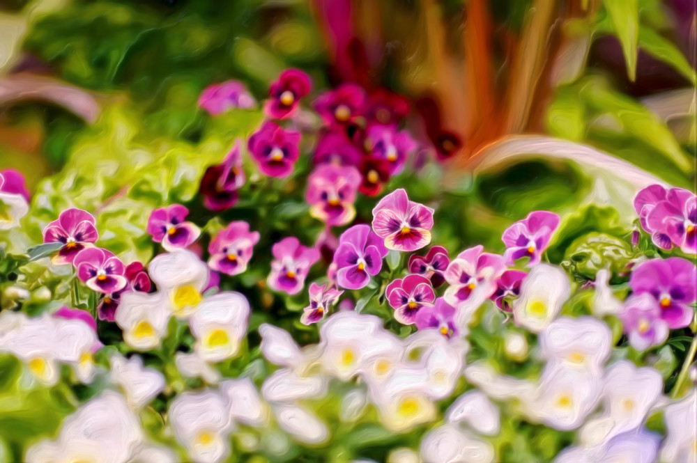 Faces In A Crowd (2012)