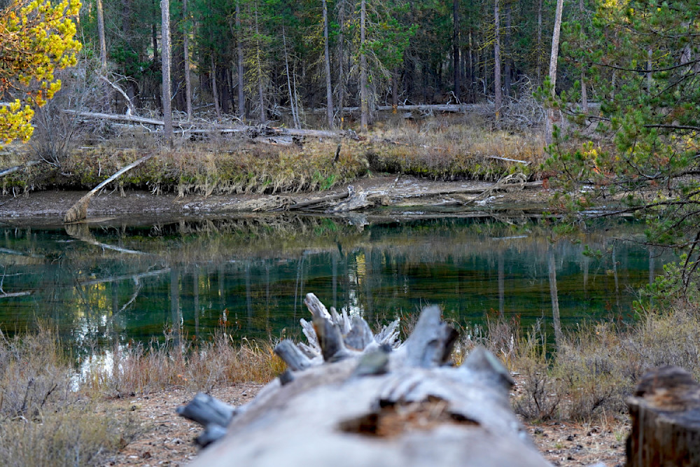 Fall River Deshutes National Forest Photography Art | InYourBackyard