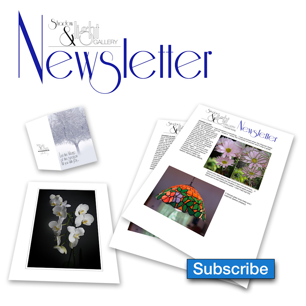 Newsletter Button Art | tommurray