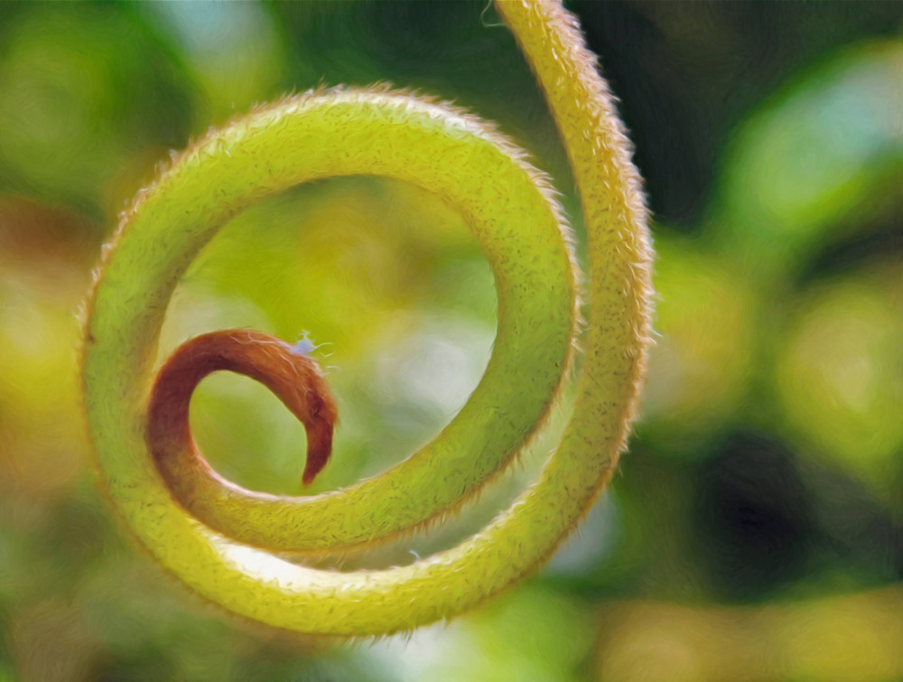 Spiralling (2015)