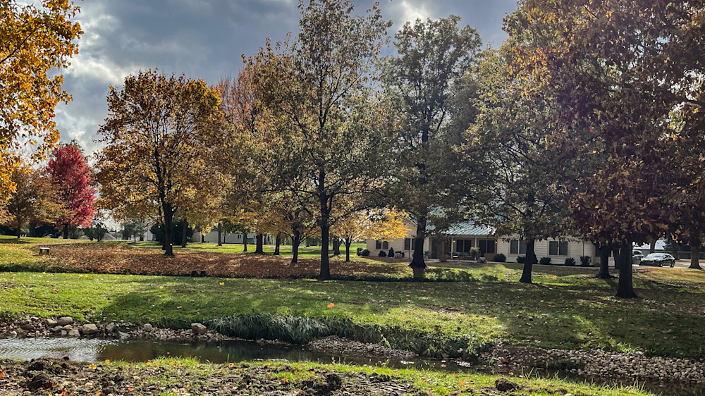 Willows In Autumn Photography Art | Steve Rizzi Photography