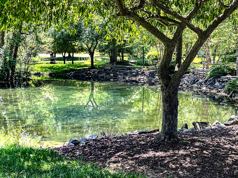 Ghostly Reflections Photography Art | Steve Rizzi Photography