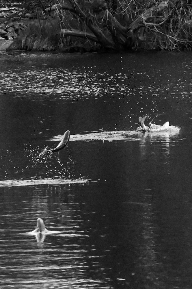 Surface Breaks Photography Art | Steve Rizzi Photography