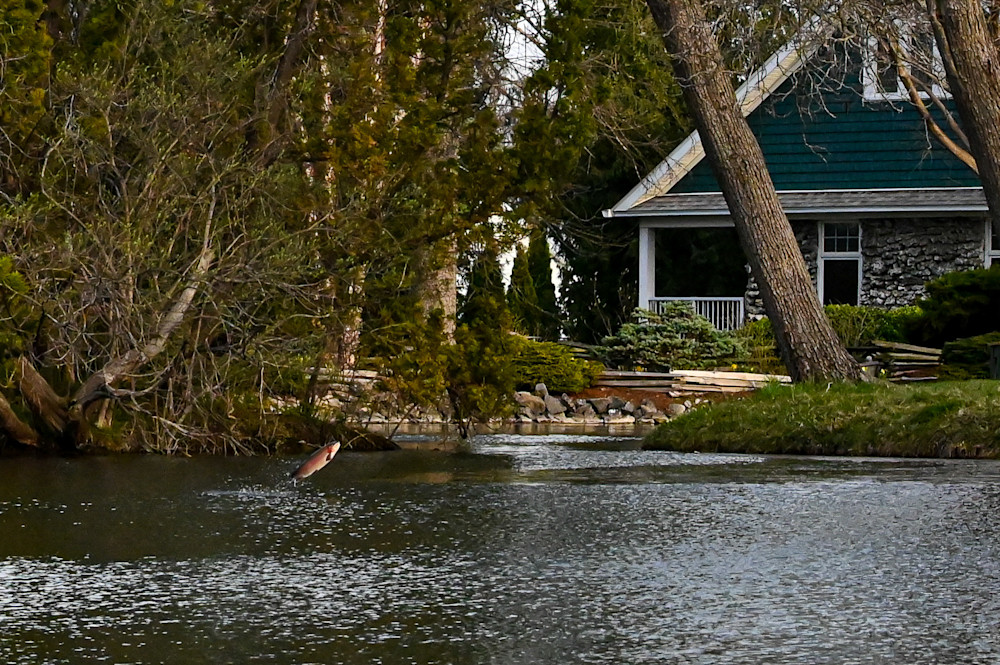 Leap Of Faith Photography Art | Steve Rizzi Photography