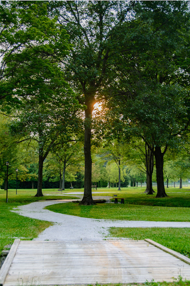Sunlit Pathway Photography Art | Steve Rizzi Photography