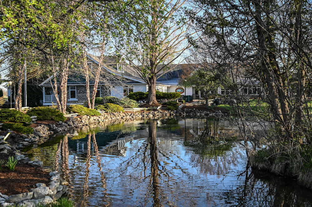 Tranquil Reflections Photography Art | Steve Rizzi Photography