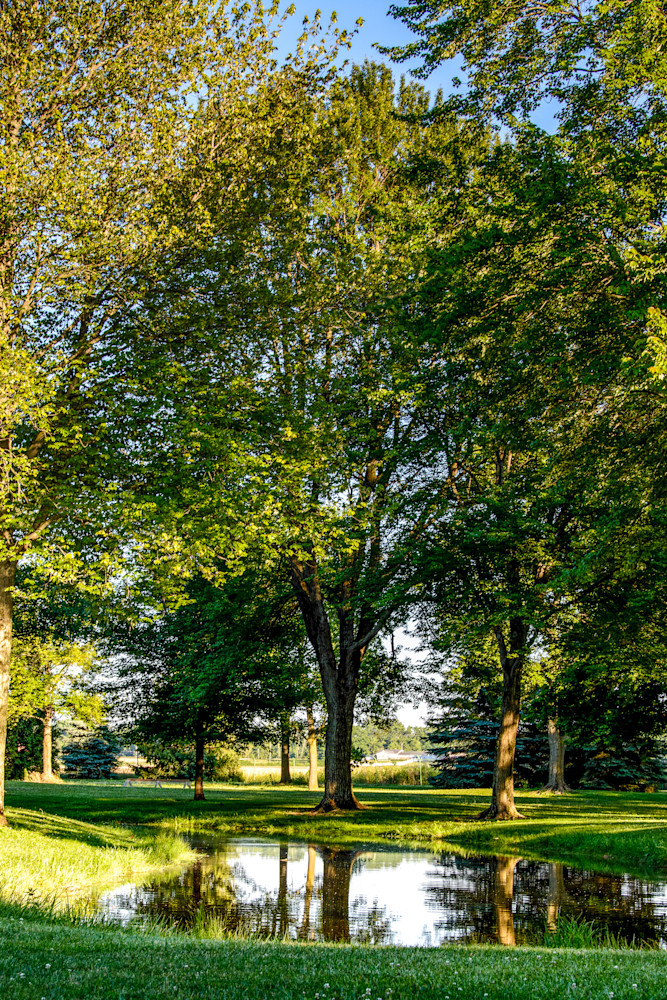 Guardian Of The Stream Photography Art | Steve Rizzi Photography