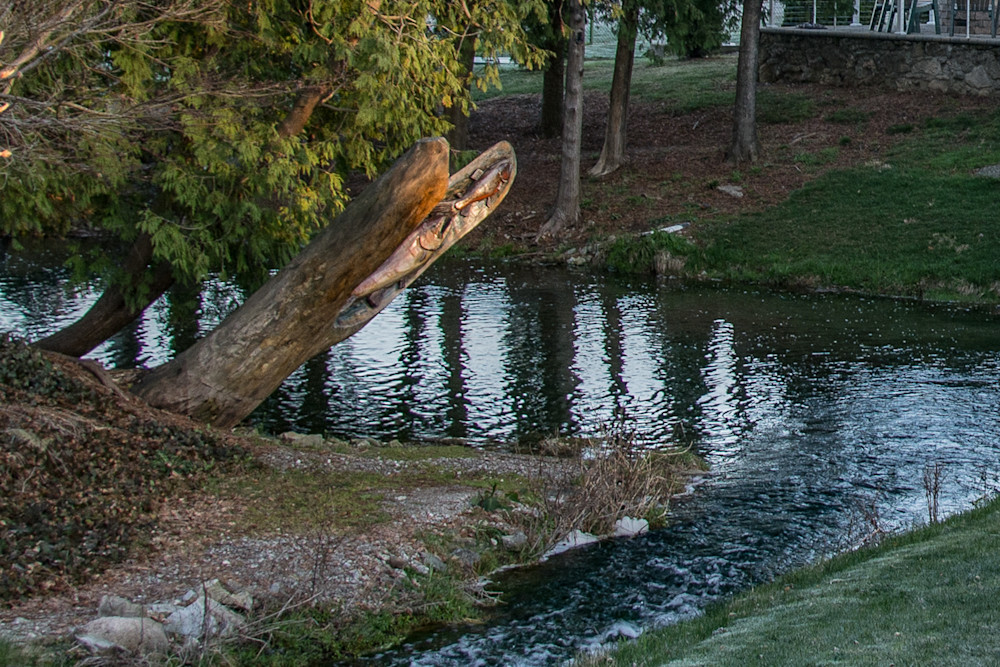 The Bar Pool Photography Art | Steve Rizzi Photography