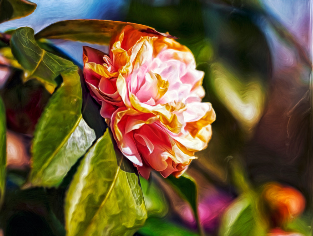 Catching Fire (2016)