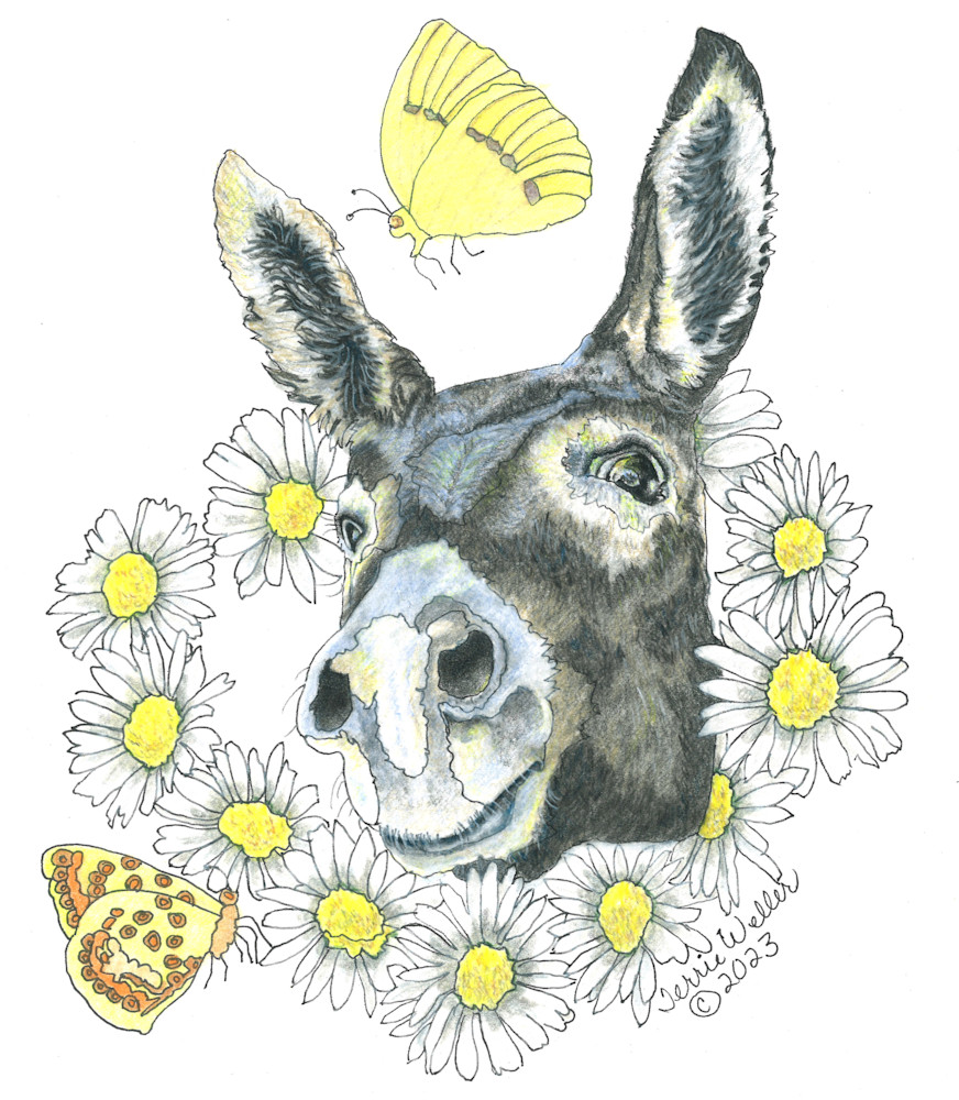Daisy Donkey Mtow Art | Fine Art by Terrie D