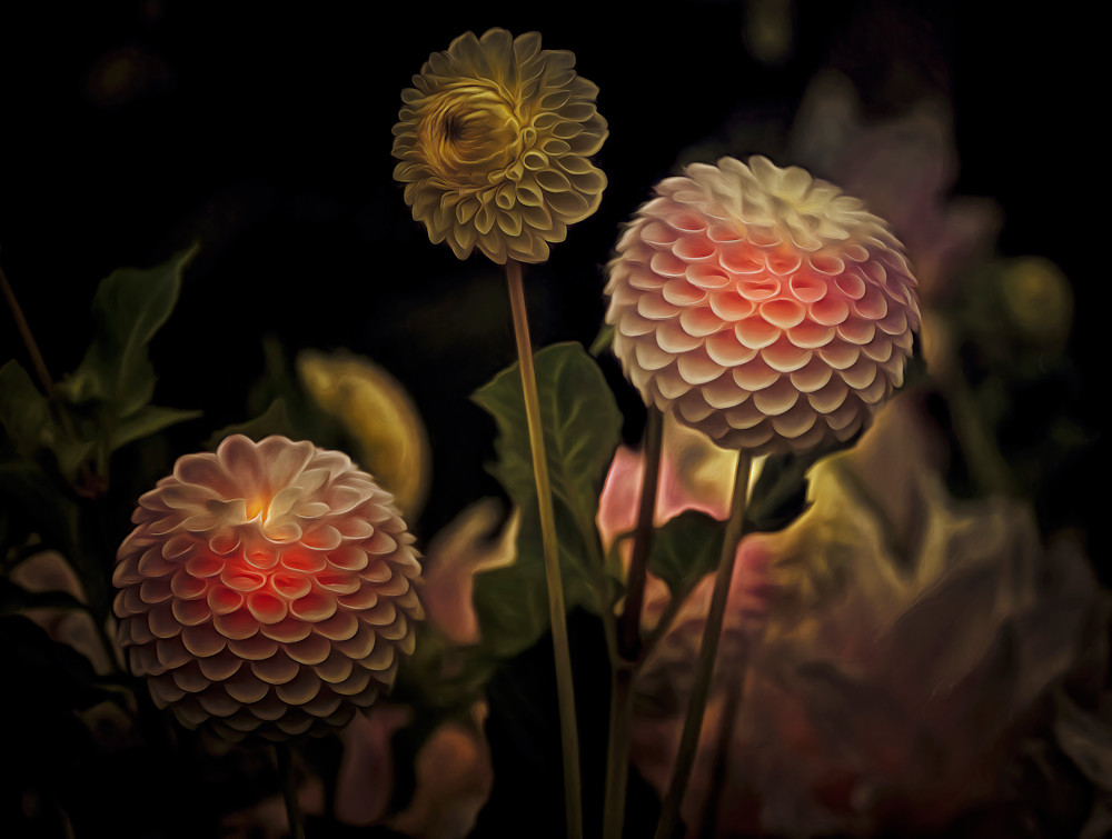 Music of the Spheres (2022)