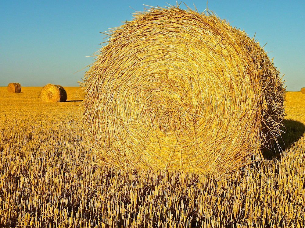 Haywheel Horizon Photography Art | True Nature Photography