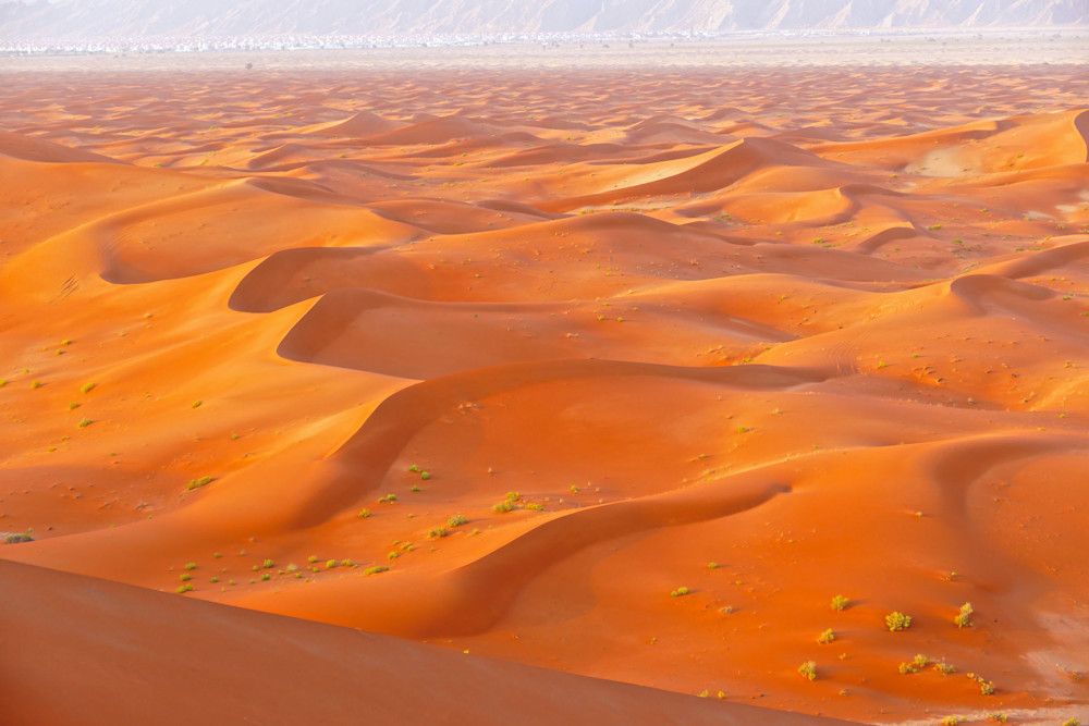 Dune Waves Photography Art | True Nature Photography