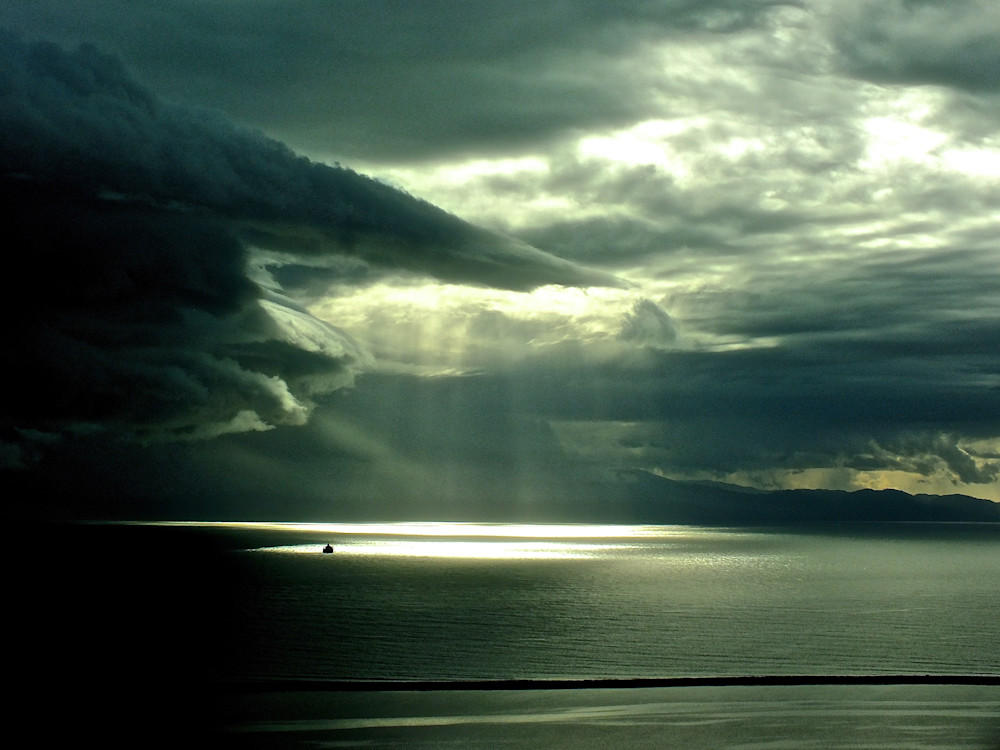 The Arrival Photography Art | True Nature Photography