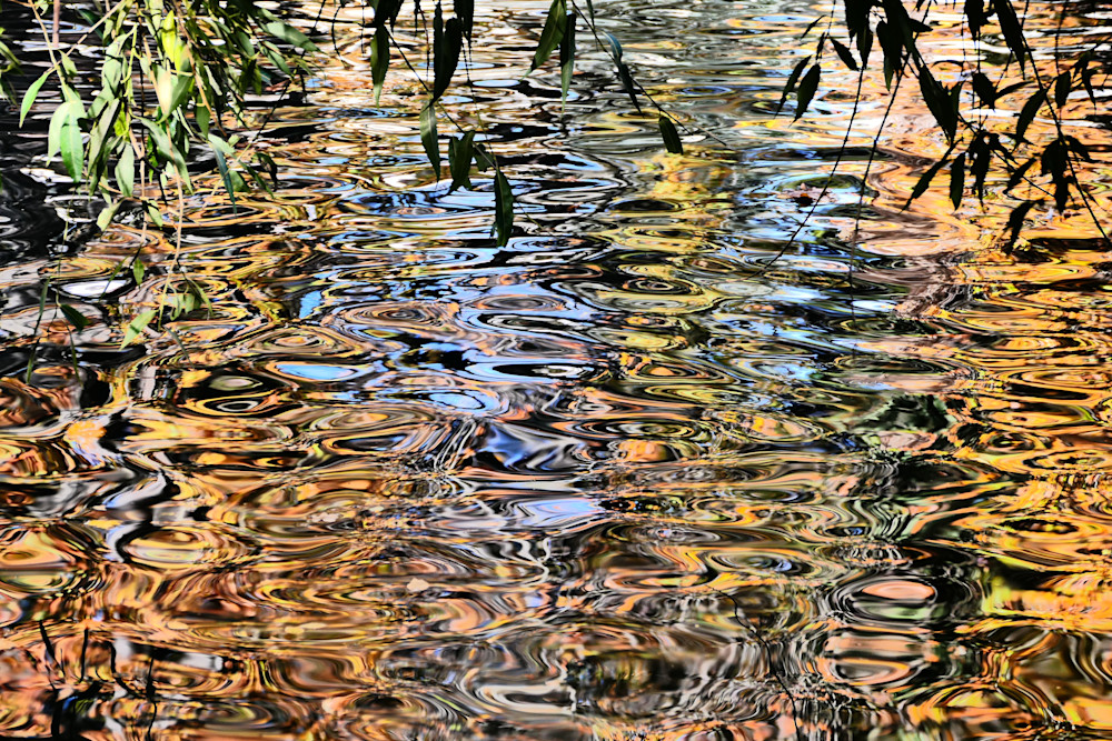 Step Into Liquid Photography Art | True Nature Photography