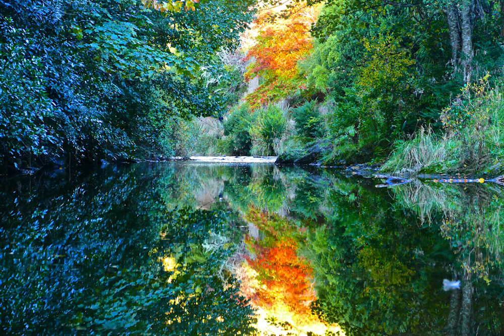 Mirror Of Calm Photography Art | True Nature Photography