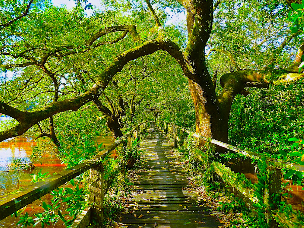 Walk This Way Photography Art | True Nature Photography