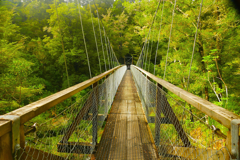 Bridge Into Green Jpg Photography Art | True Nature Photography