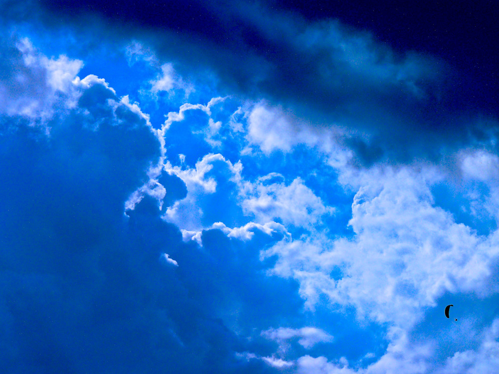 Freedom Or Fear Photography Art | True Nature Photography