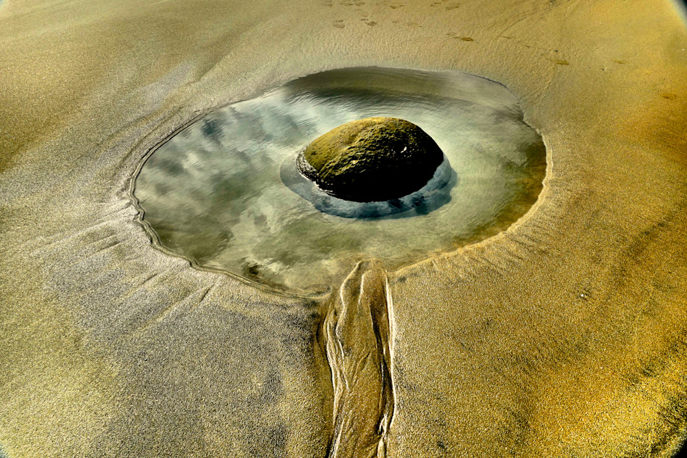 In The Eye Of The Beholder Photography Art | True Nature Photography